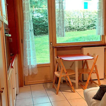 Renove, Proche Centre Et Telecabine, Animaux Admis, Parking - Fr-1-517-3 Apartment Chamonix